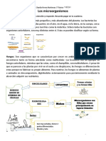 5° Básico Los Microorganismos Preparando Mi Evaluación