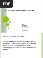 Actividad 2 Sector Economico Primario