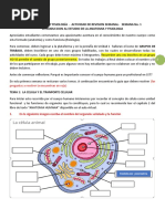 Curso Anatomía y Fisiología