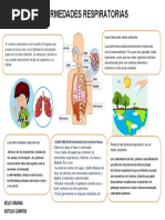 CCSSINFOGRAFIA