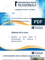 Curso: Procesamiento de Frutas y Verduras. Clase 10. CB027. La Fermentación de Verduras y Algunas Frutas.