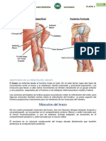 Clase Anatomia