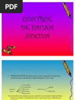 Control de Fauna Nociva