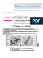 CNSL 3E Biologia G4