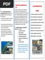 Causas de La Contaminación Del Mar Soluciones para La Contaminación Del Mar La Contaminación Del Océano