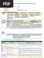 PLAN ANUAL 2022 - Primaria V Ciclo