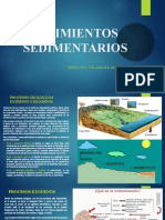 Yacimientos Sedimentarios 2020