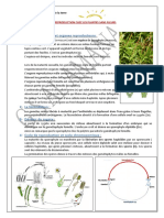 Mousses (Bryophytes)