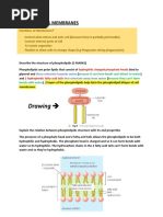 Biological Membranes