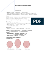 Protocolo de Avaliação de Motricidade Orofacial