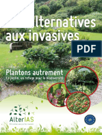 Des Alternatives Aux Plantes Invasives