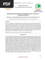 Bioethanol Production From Weed Plant Cyperus Rotundus by Enzymatic Hydrolysis