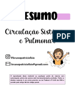 Resumo Circulação Sistêmica e Pulmonar PDF