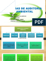 NORMAS DE AUDITORIA AMBIENTAL Expo Ofi 2