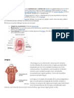 Acciones Que Previenen Enfermedades Al Sistema Digestivo