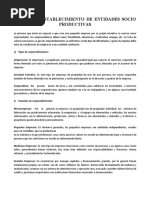 Gestión y Establecimiento de Entidades Socio Productivas Nov