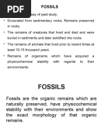 Fossils & Fossilization