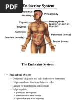 ENDOCRINE Final