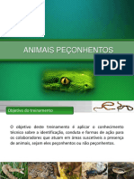 Animais Peçonhentos