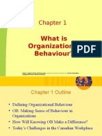 Chapter 1-What Is Organizational Behaviour