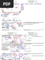 TEMA 4 Movimiento Parabolico - 220613 - 232936