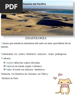 Desierto Del Pacifico