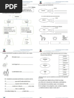 3° Guía de Lenguaje Sustantivos, Articulos, Adjetivos