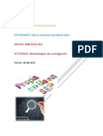 Metodologías de Investigación