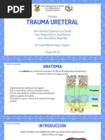 Trauma Ureteral