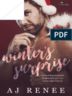 Winter's Surprise - A.J. Renee