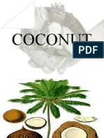 Coconut Shells