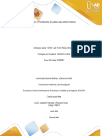 Fase 2 Procedimientos de Auditoria para Obtener Evidencia - SandraSalinas