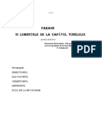 FARAONUL ȘI LUMINIȚELE DE LA CAPĂTUL TUNELULUI. de Gheorghe Truță