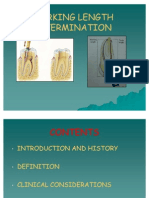 Working Length Determination