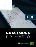 Forex Primário