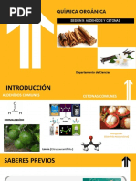 S9.-Sesión N°9 Aldehídos y Cetonas