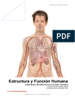 Estructura y Funcioìn Humana ESTUDIANTE-comprimido