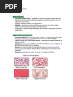 Tema 3 - HISTOLOGIA