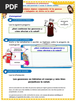 D3 A2 FICHA Comprobamos Algunos Componentes de Las Gaseosas e Indagamos Sus Efectos en La Salud