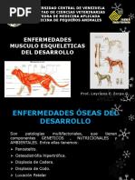 Enfermedades Musculo Esqueleticas Pregrado