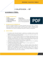 EF - Seguridad y Salud Ocupacional - Grupo N°14......