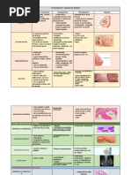 Patología Maligna y Pre Maligna de Mamas