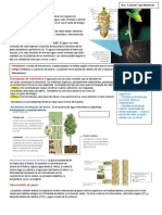 La Nutricion Vegetal