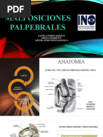 EXPO Malposiciones Palpebrales