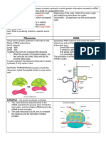 DNA Translation