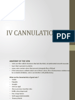 IV Cannulation