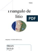 Triangulo de Litio