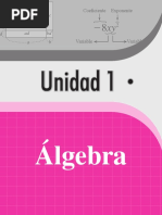 2do U1 Álgebra Ver en Revisión