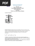 Guia Examen Ordinario 1er Vuelta