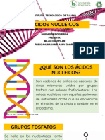 Acidos Nucleicos